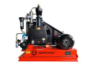 Máy Nén Khí Pitton Cao Áp Shaoerair SE200